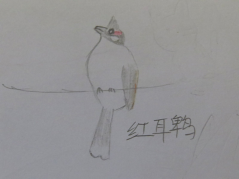5678.jpg