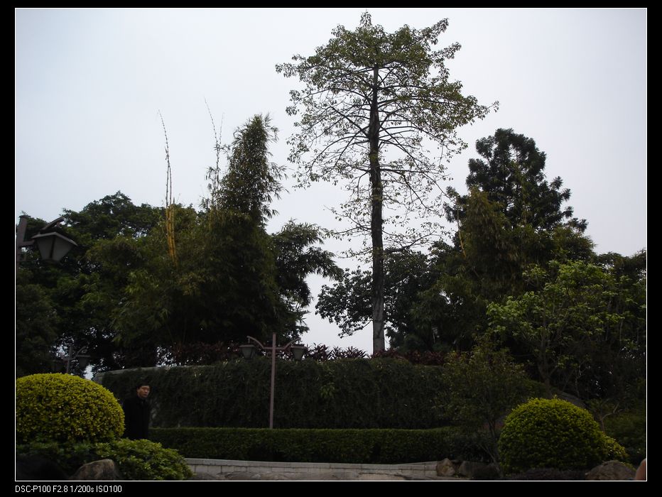 nEO_IMG_DSC06180.jpg