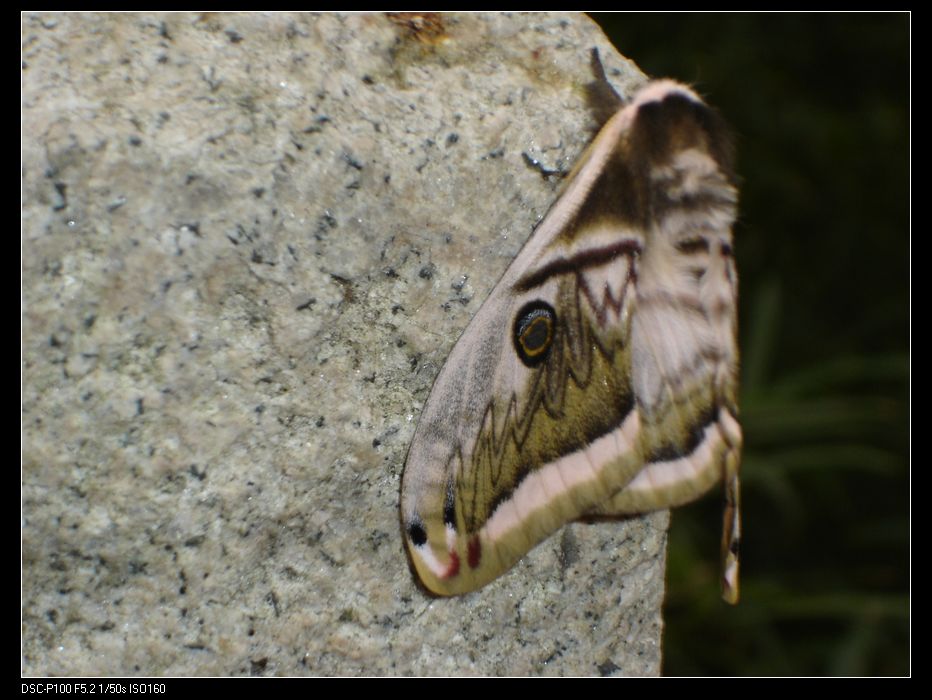 nEO_IMG_DSC06205.jpg