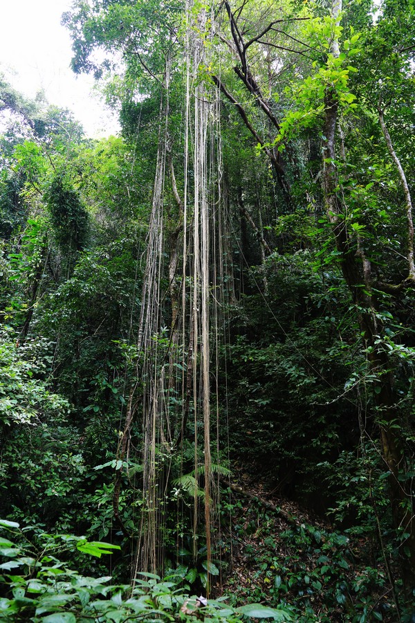 Ī1.jpg