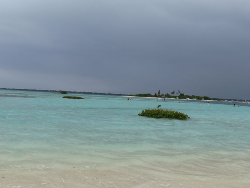 IMG_5349-1.jpg