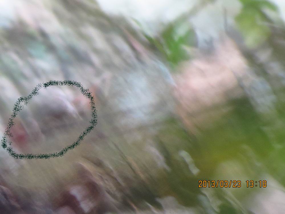ˬ 021.jpg
