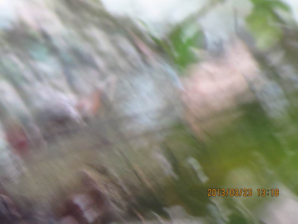 ˬ 0216.jpg