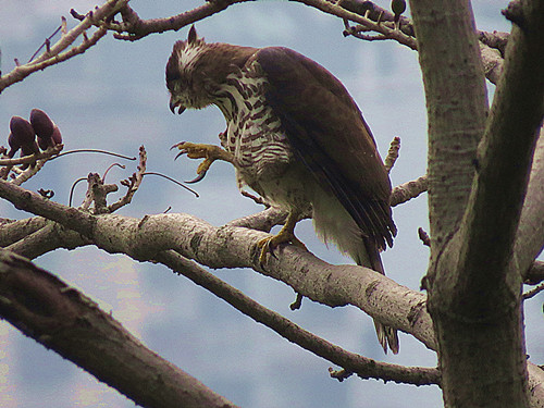 IMG_1776_.jpg