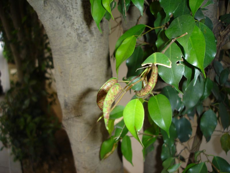 nEO_IMG_DSC06458.jpg