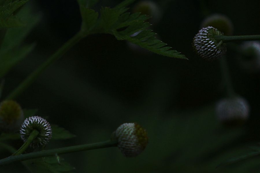 b7106.jpg