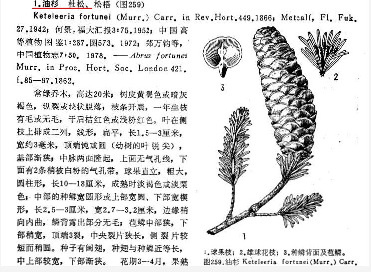 QQͼ20130511082442.jpg
