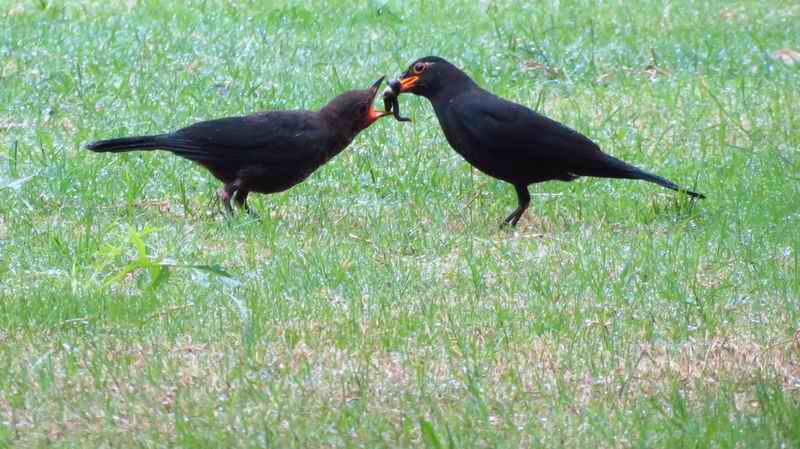 IMG_7098.jpg