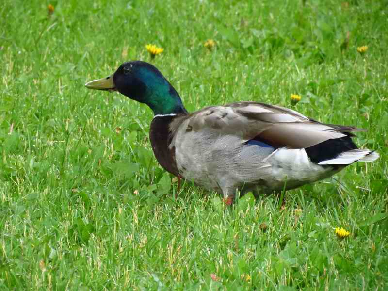 IMG_7673.jpg