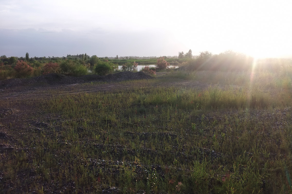 20130611_211803.jpg