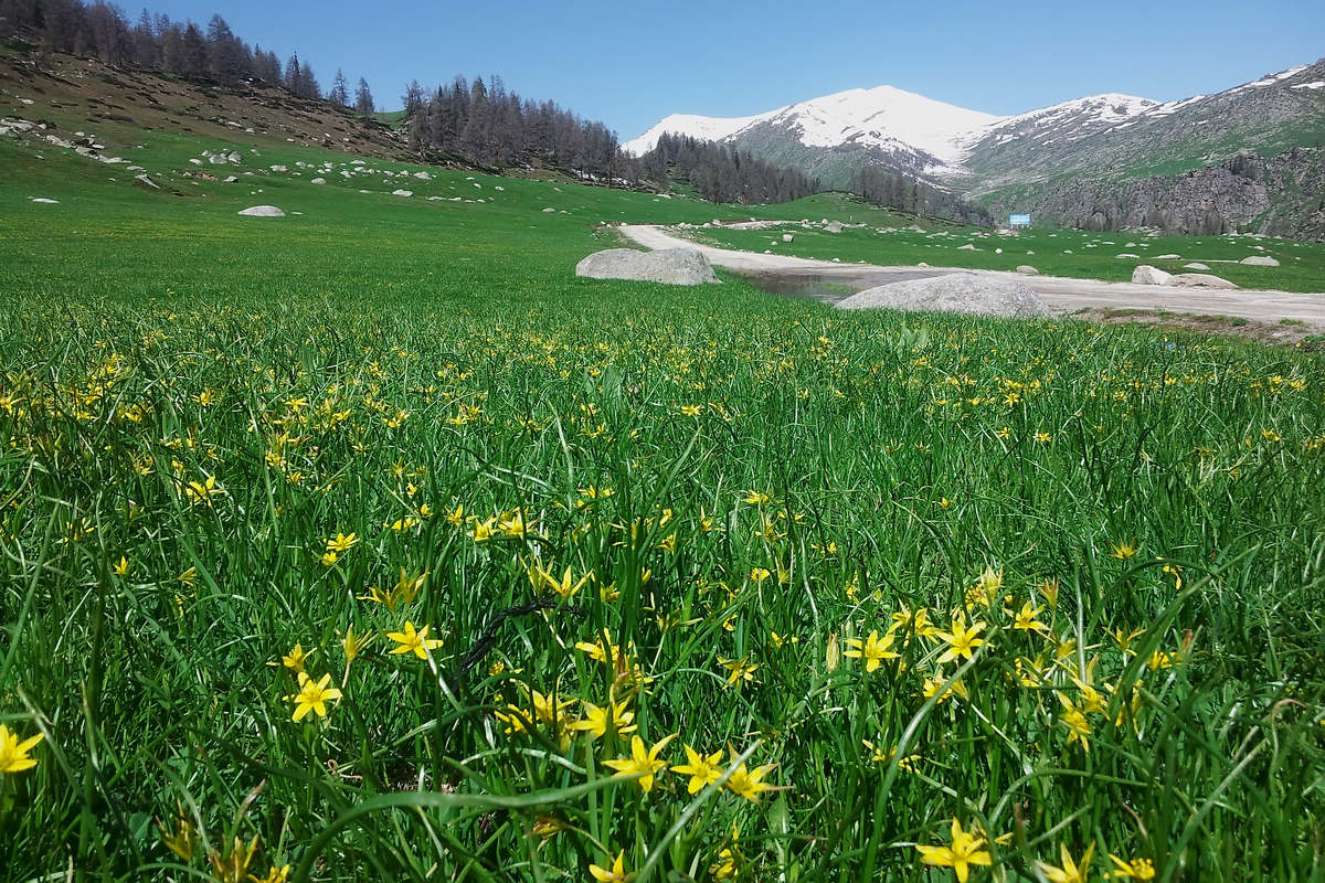20130607_112156.jpg