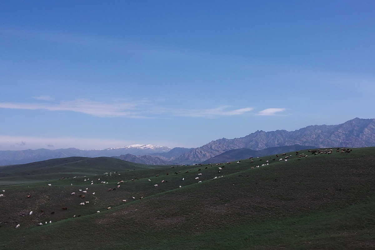 20130606_110807.jpg