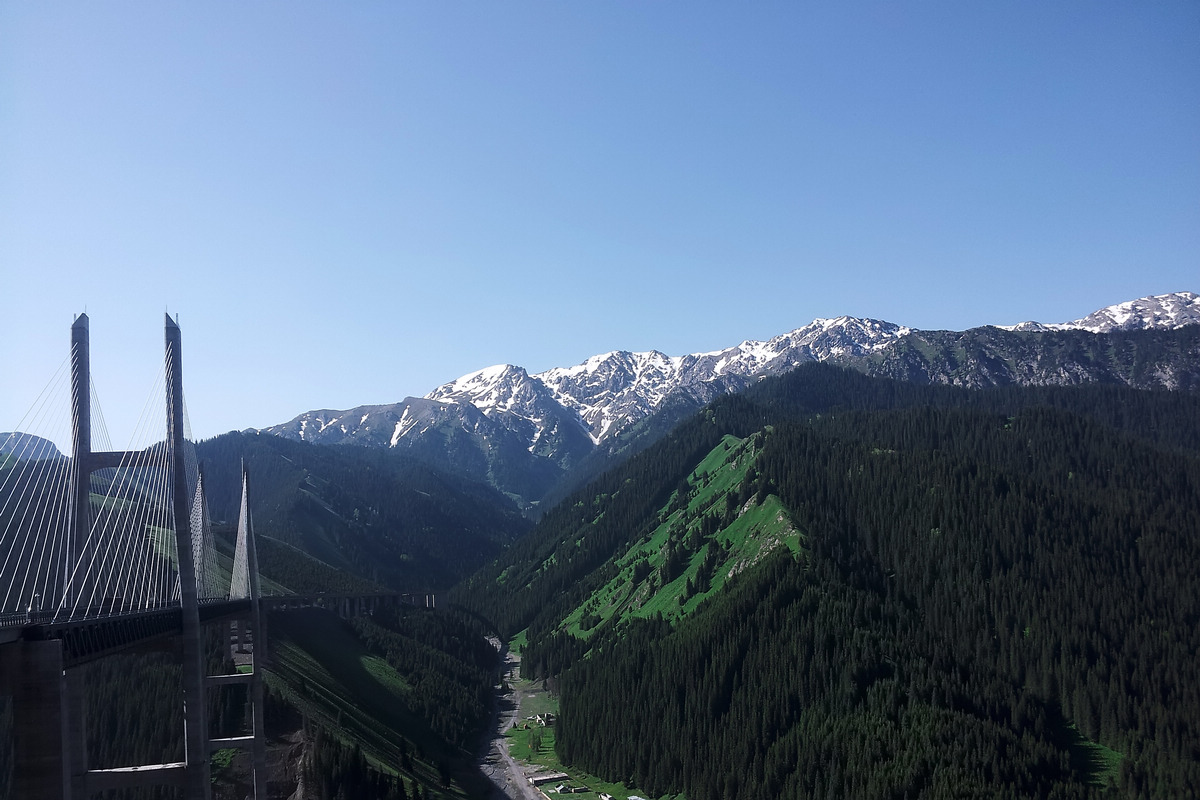 20130609_104340.jpg