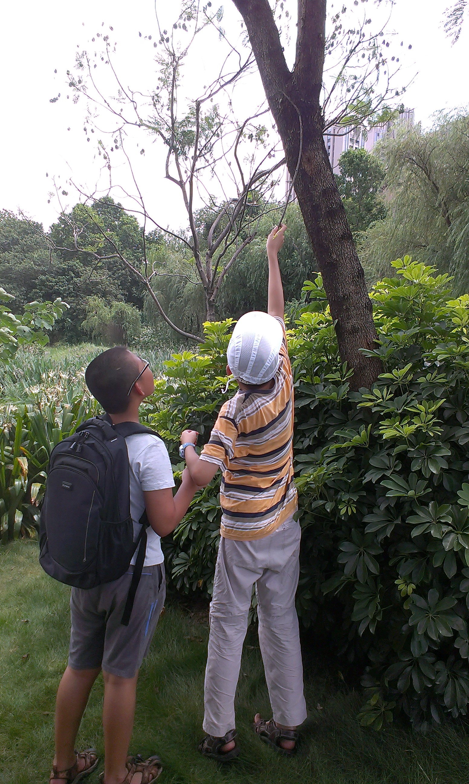IMAG0707.jpg
