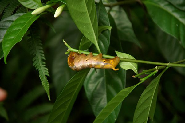 DSC_5973__.jpg