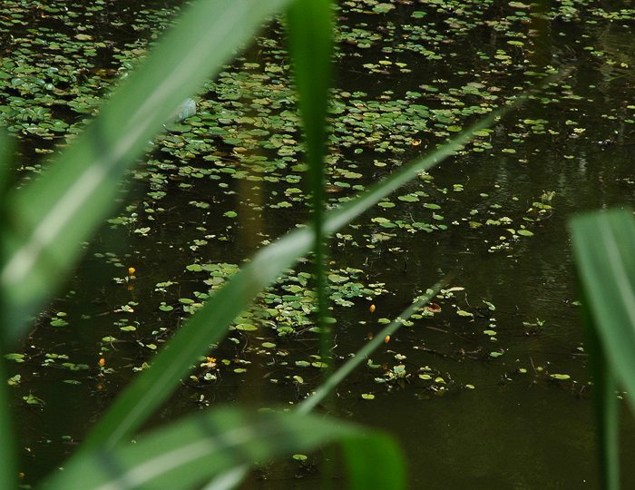 DSC_6054_.jpg
