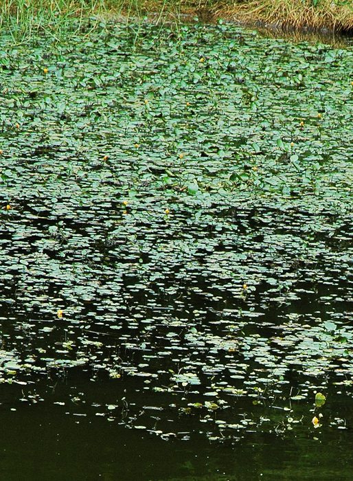 DSC_6059__.jpg