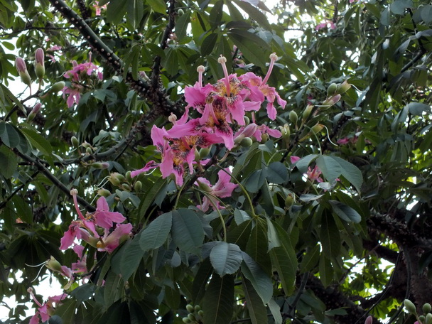 DSCF7463ľ-0.jpg