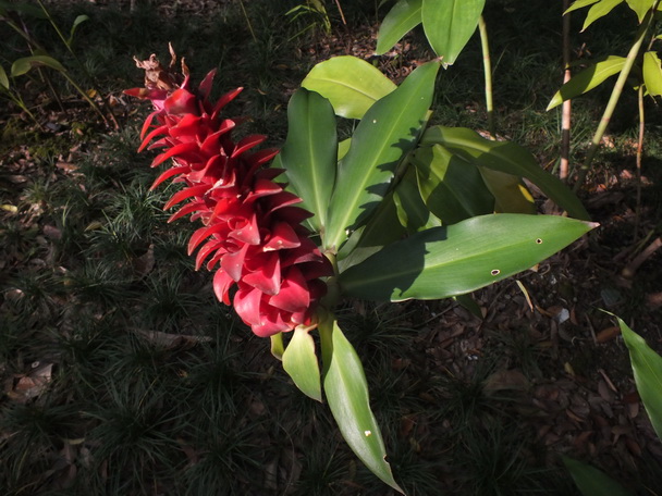 DSCF78890.jpg