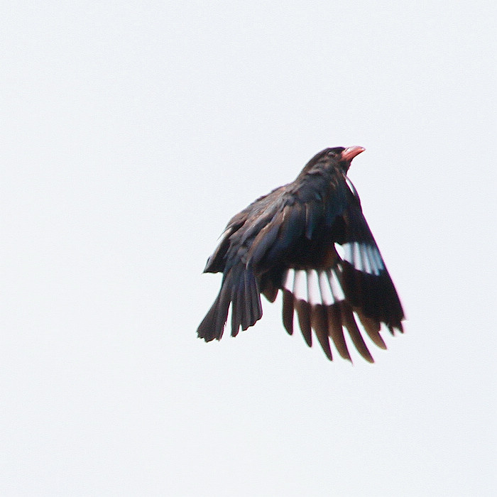 2013_08_03_0004a.jpg