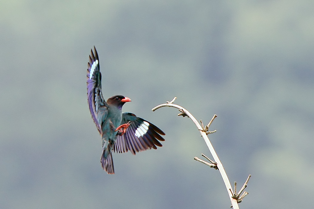 2013_07_14_0013b.jpg