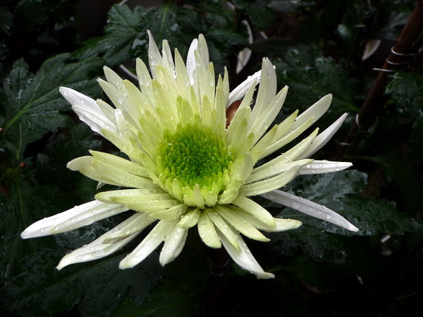 P1110852̽ϣ0.jpg