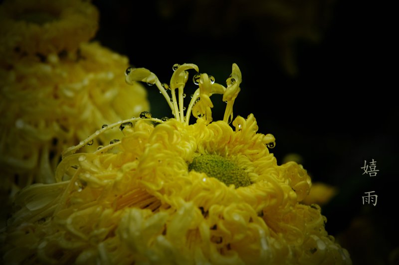 DSC_8171_.jpg