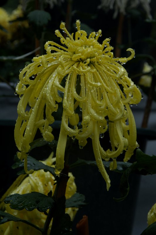 DSC_8055_0.jpg