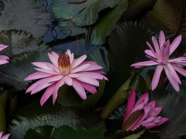 P1320539ëҶ˯-0.jpg