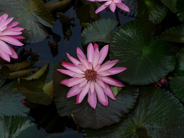 P1320543ëҶ˯-0.jpg