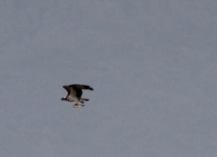 IMG_6974.jpg