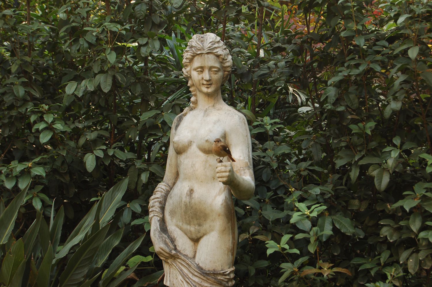 DSC_0462_1.jpg