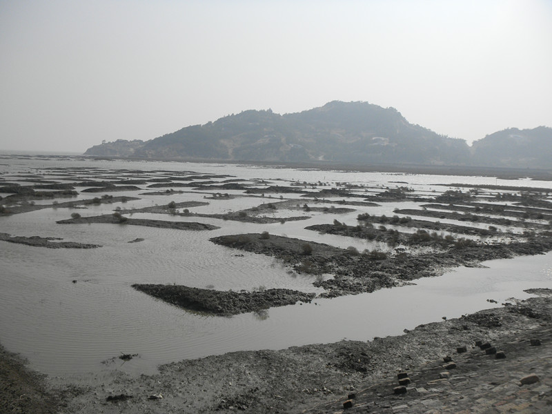 DSCN8033.JPG