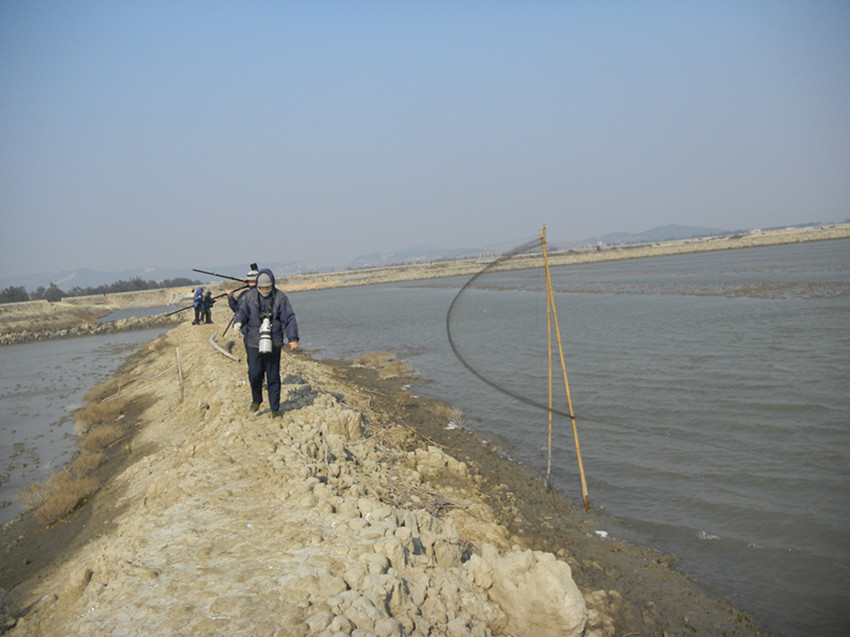 DSCN7992.JPG