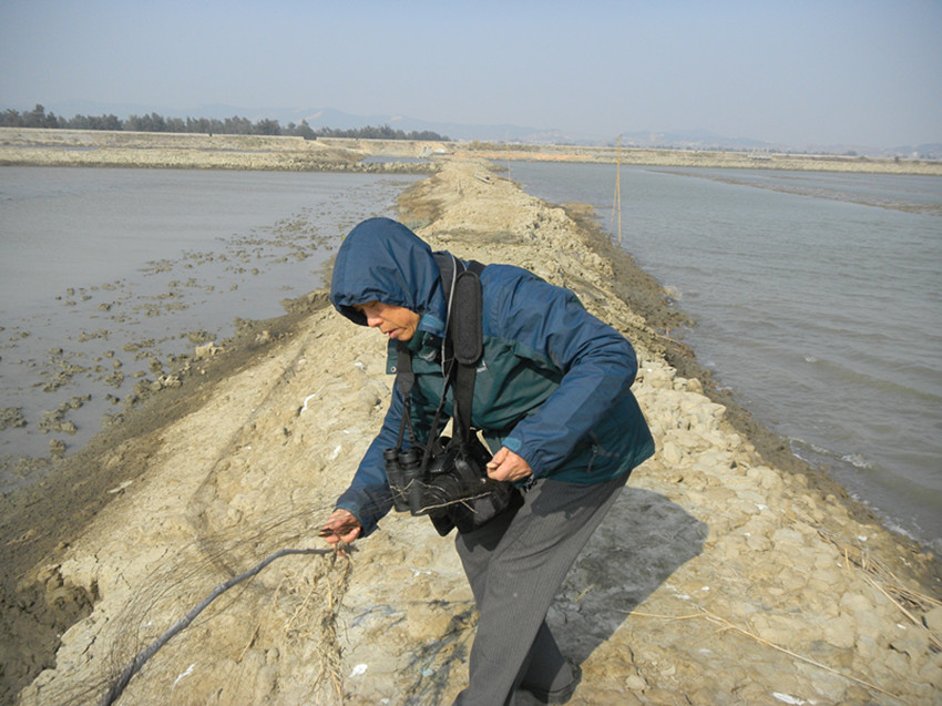 DSCN8001.JPG