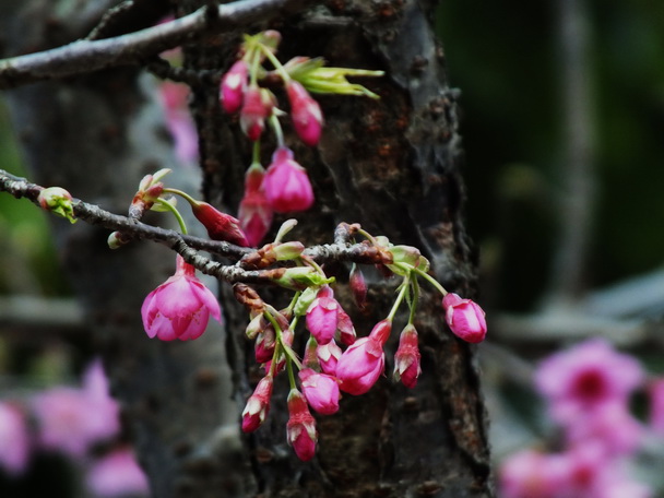 DSCF0561ӻӣ-00.jpg