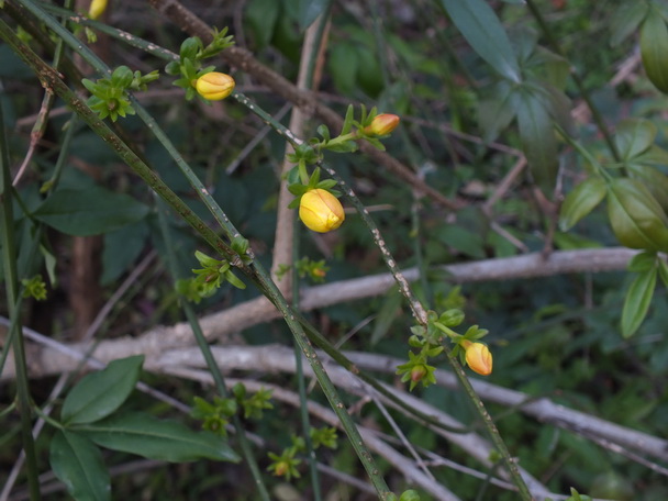 DSCF0591ӭ-0.jpg