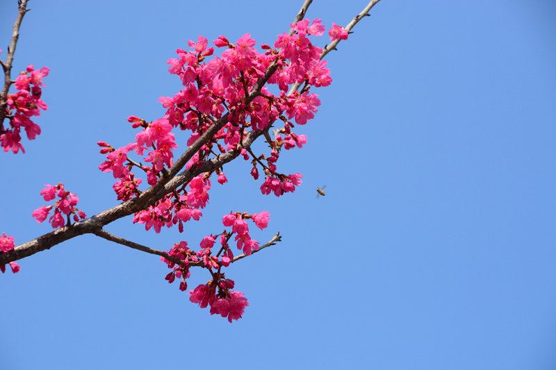 DSC_0748.jpg