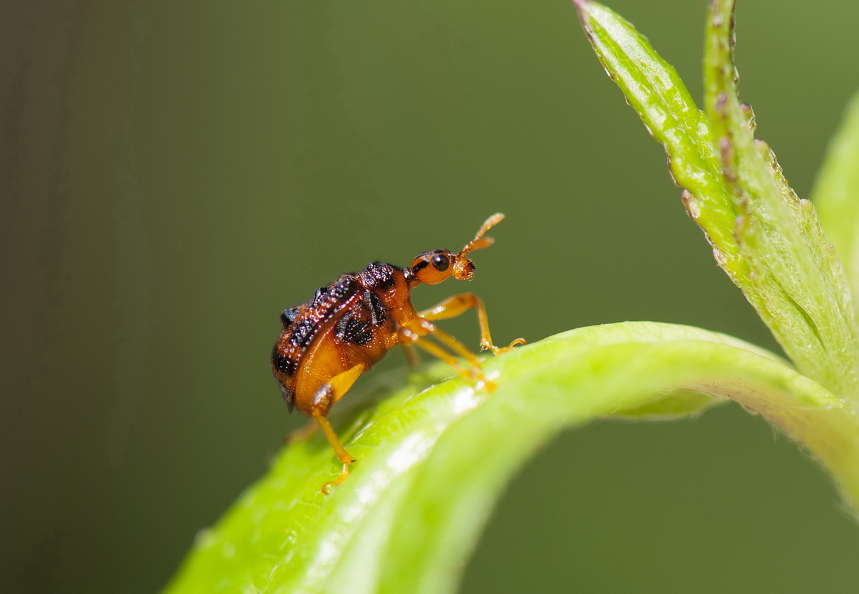DSC_4942n.jpg