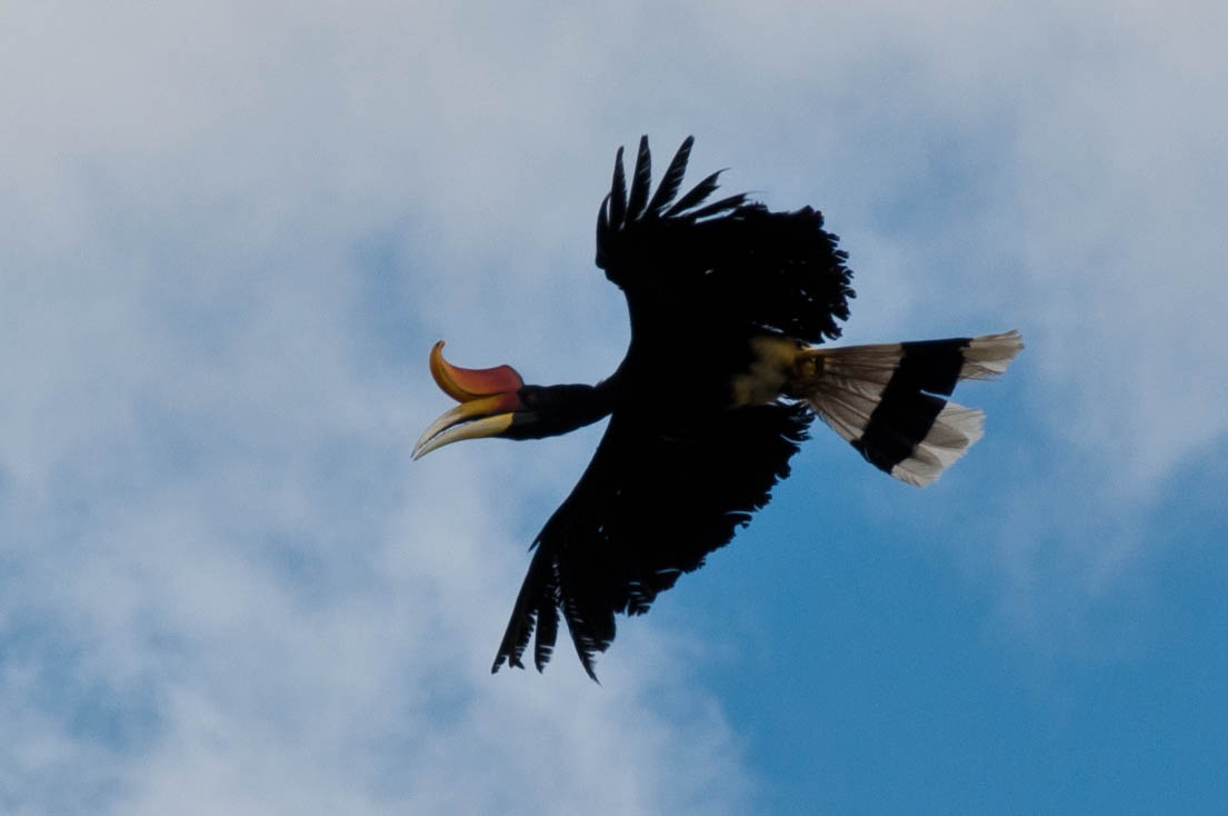 DSC_0187.jpg
