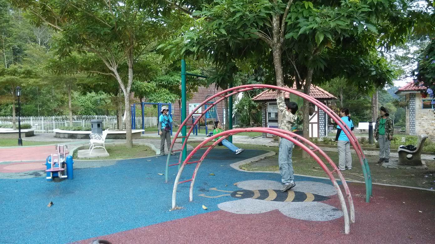 �����ŵ�С����