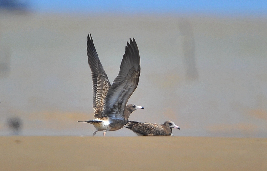 DSC_4498_����_����_����.jpg