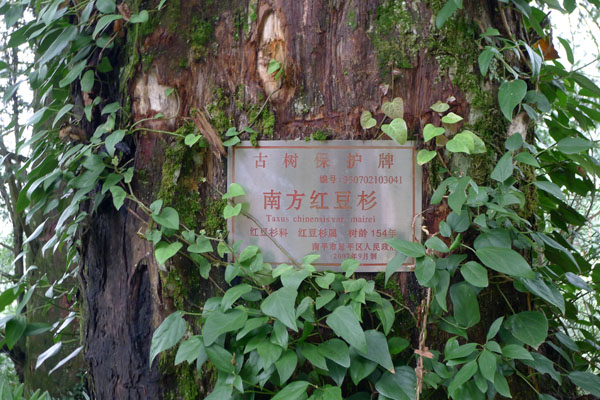 ɽ壩2.jpg