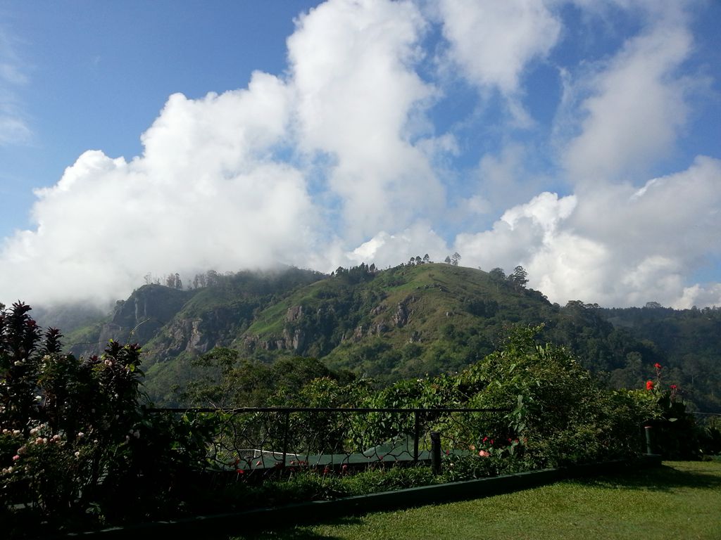 20140930_104407.jpg