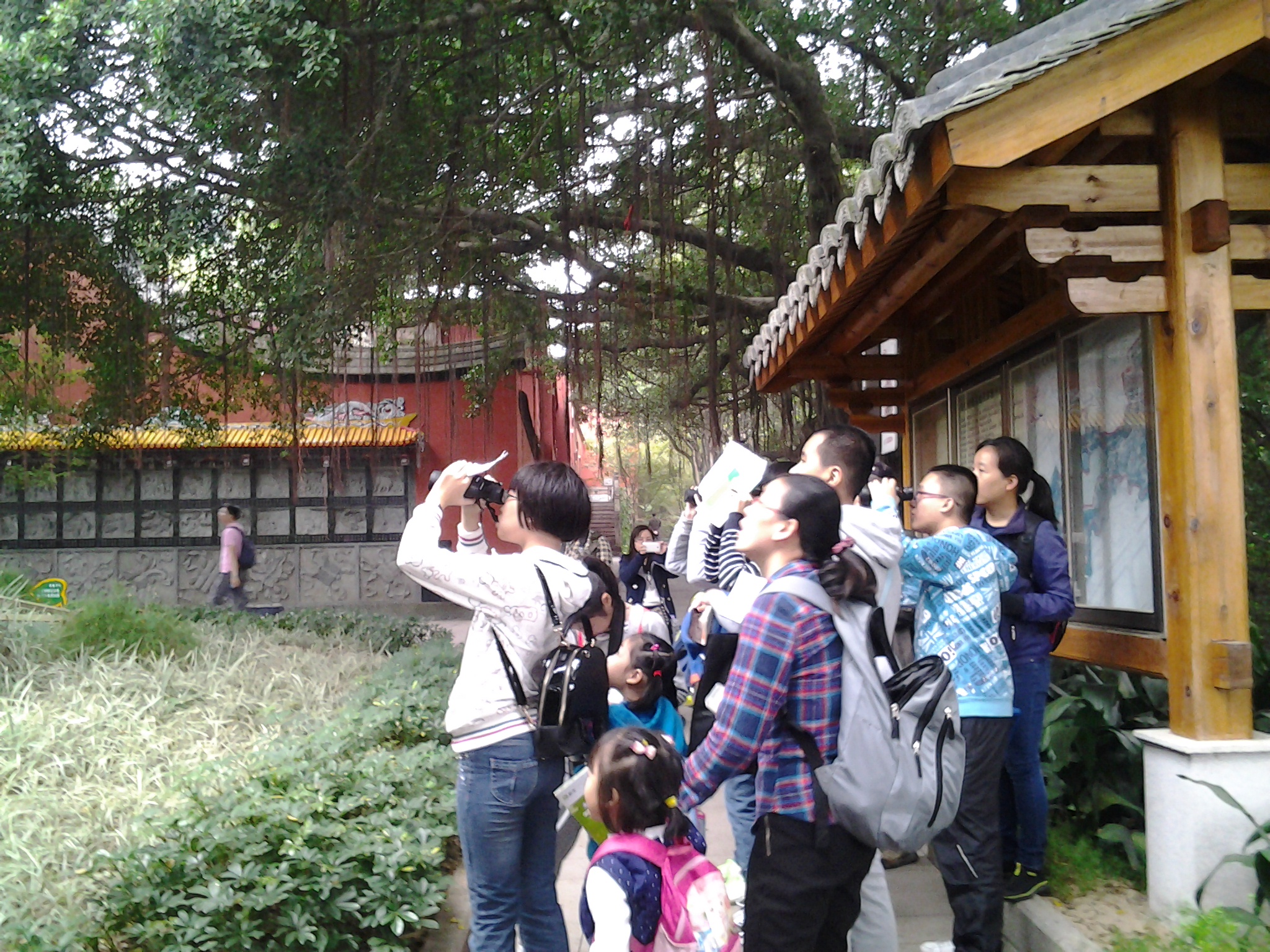 20141129_091317.jpg