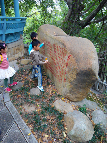 IMG_20141129_113931.jpg