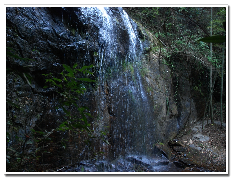 DSC_0574_.jpg