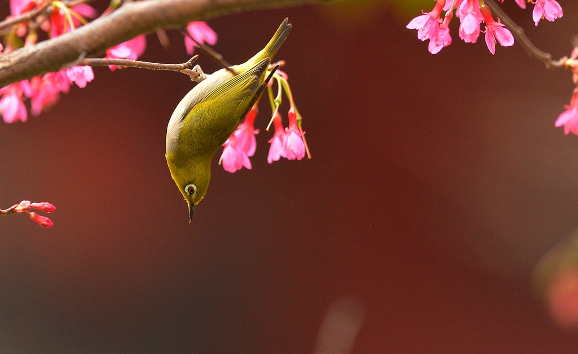 DSC_5042__.jpg