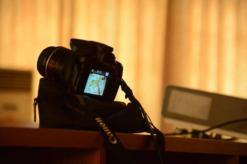 DSC_5386_.jpg