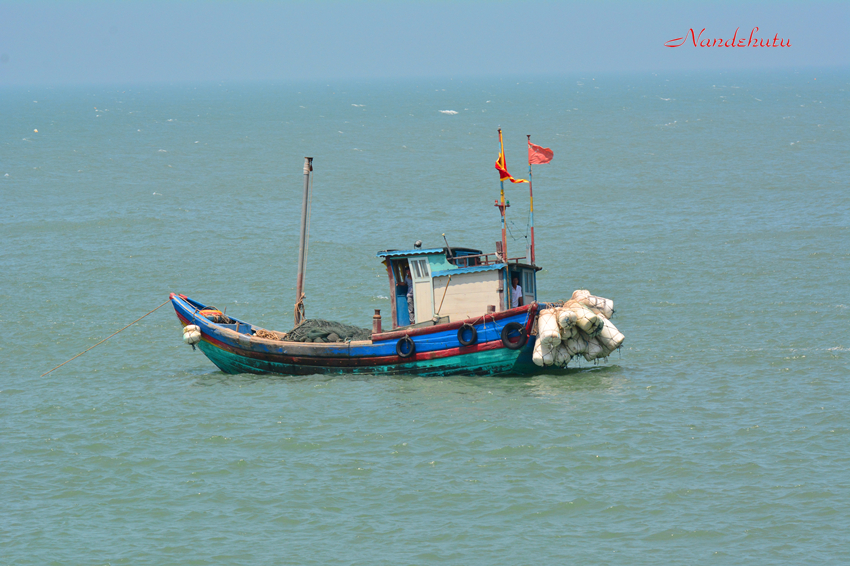 AAD_2429_9481.jpg